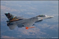 /album/f-16-special-tales/img-9425-lowres-jpg/